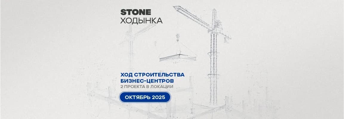 Изображение STONE